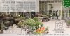 明治5年創業の老舗花屋 花安 | 和歌山市・有田市 胡蝶蘭・スタンド花 | 3,300円以上で配達無料 | 当日配達・ご来店引き取りOK | 電話: 073-444-1280