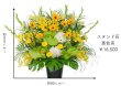 画像3: 和歌山市・有田市限定！特別な日を彩るお祝いスタンド花 | 色と価格が選べます (3)