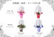 画像2: 和歌山市・有田市限定！お祝いに最適な純白胡蝶蘭 | ラッピング・価格が選べます (2)