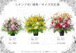 画像5: 和歌山市・有田市限定！特別な日を彩るお祝いスタンド花 | 色と価格が選べます (5)