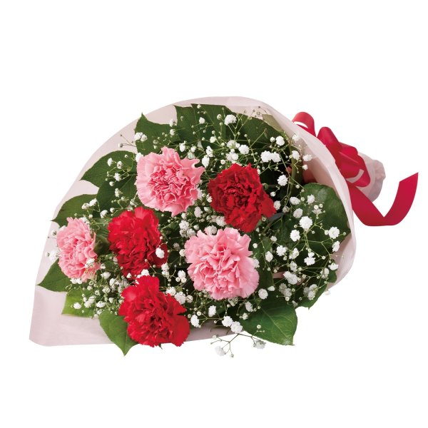 画像1: カーネーションの花束（レッド） (1)
