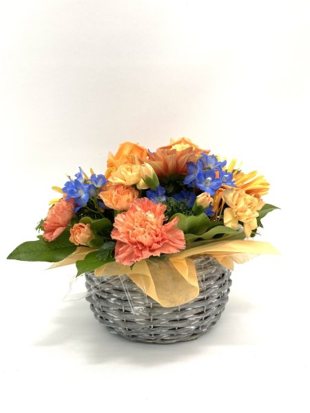 画像5: 2025年7月コンパクトアレンジ (5)