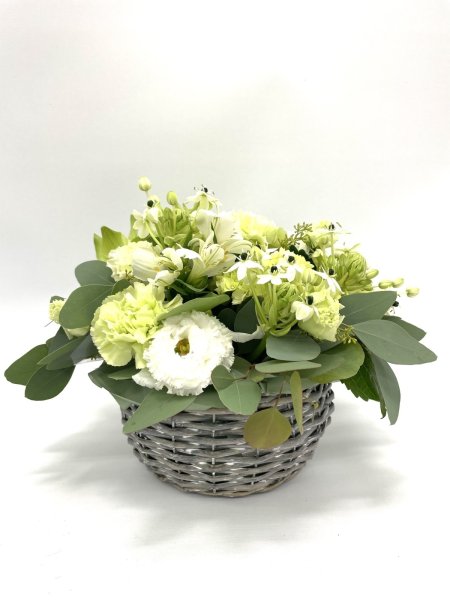 画像4: 2025年7月コンパクトアレンジ (4)