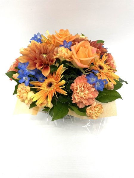 画像4: 2025年7月コンパクトアレンジ (4)