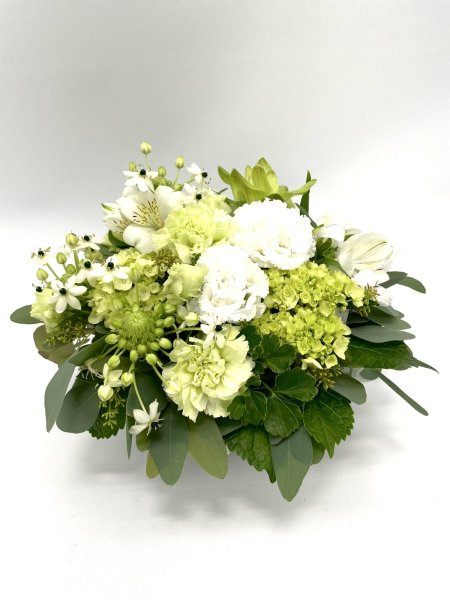 画像2: 2025年7月コンパクトアレンジ (2)