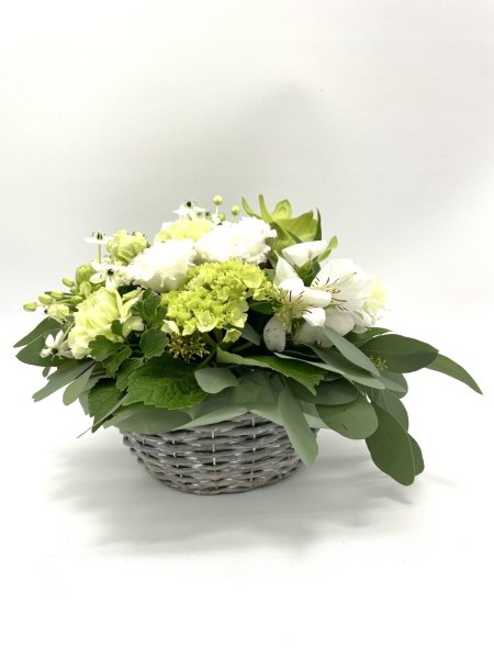 画像5: 2025年7月コンパクトアレンジ (5)