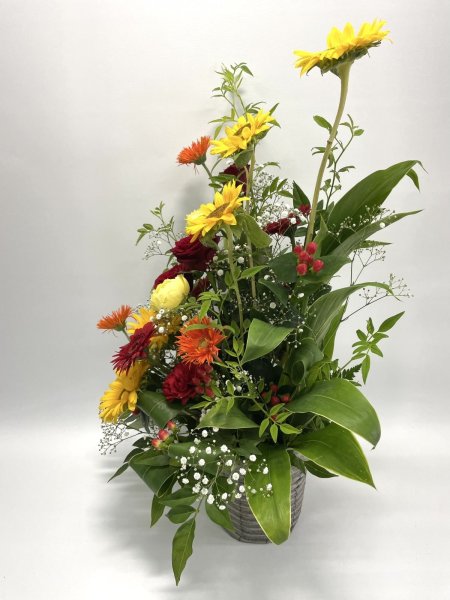 画像2: 2025年8月ロングタイプアレンジメント (2)