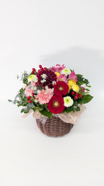 画像1: 2025年12月コンパクトアレンジ (1)