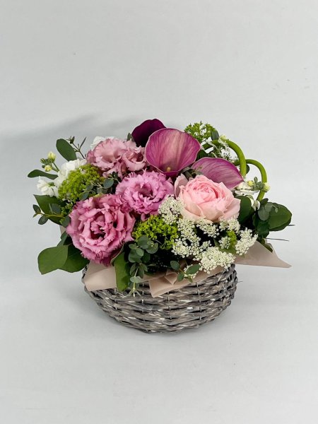 画像1: 2026年1月コンパクトアレンジ (1)