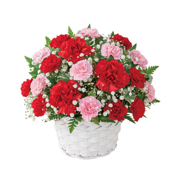 画像2: スイート (2)