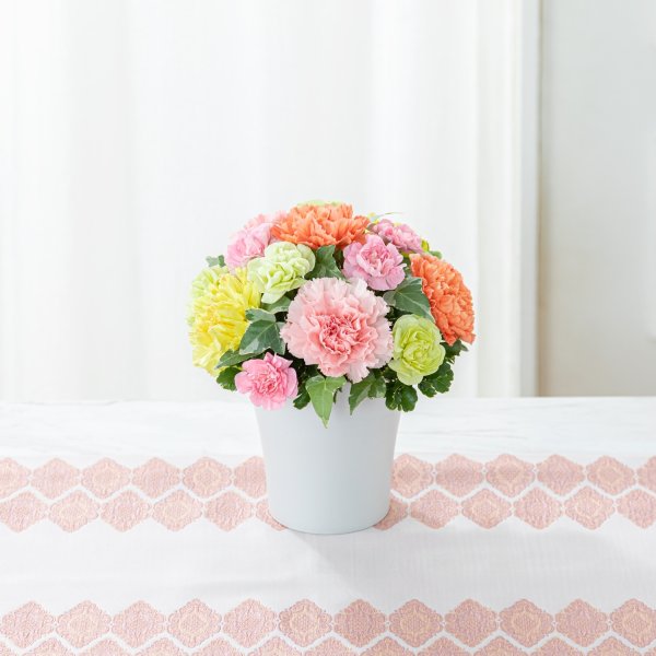 画像1: グラマラス（カラフル） (1)