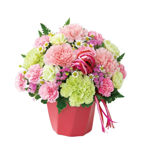 画像2: カーネーションのハミングアレンジメント（ピンク） (2)