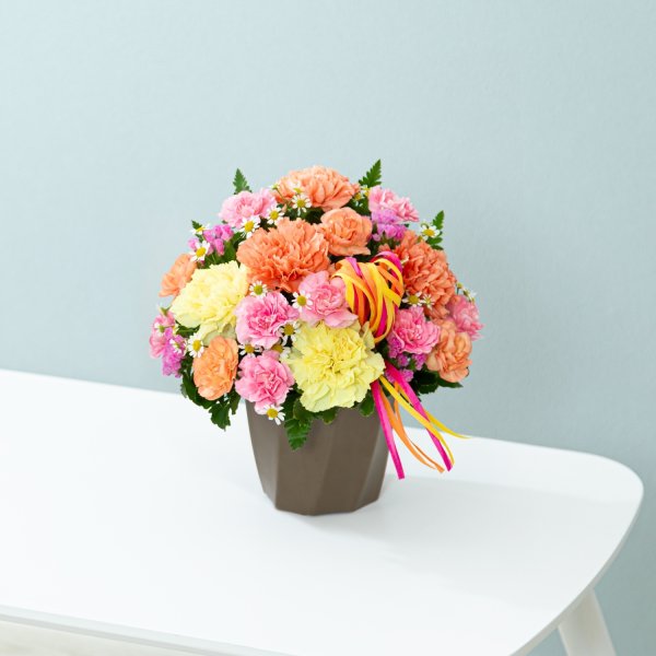 画像1: カーネーションのハミングアレンジメント（オレンジ） (1)