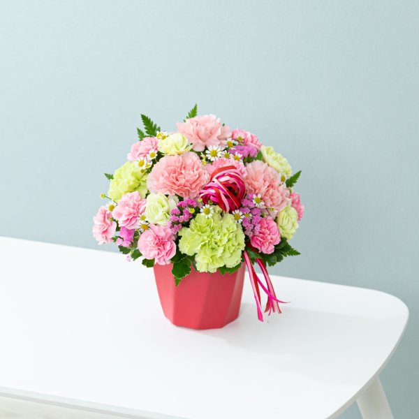 画像1: カーネーションのハミングアレンジメント（ピンク） (1)