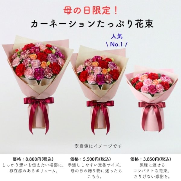画像1: 母の日限定！カーネーションたっぷり花束 (1)