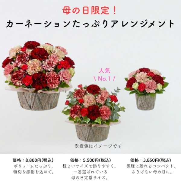 画像1: 母の日限定！カーネーションたっぷりアレンジメント (1)
