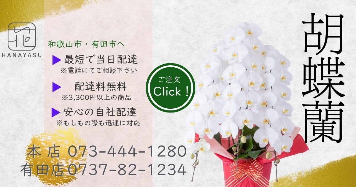 和歌山市150年の花屋 花安OnlineShop｜胡蝶蘭とおしゃれな花