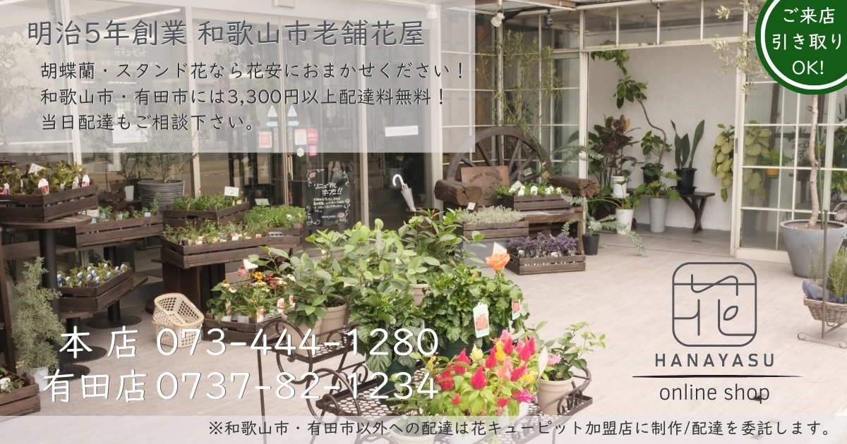 明治5年創業の老舗花屋 花安 | 和歌山市・有田市 胡蝶蘭・スタンド花 | 3,300円以上で配達無料 | 当日配達・ご来店引き取りOK | 電話: 073-444-1280