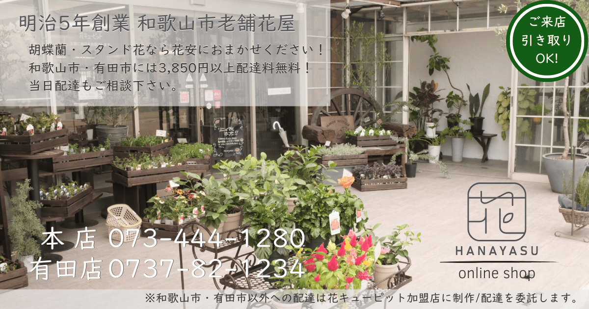 明治5年創業の老舗花屋 花安 | 和歌山市・有田市 胡蝶蘭・スタンド花 | 3,300円以上で配達無料 | 当日配達・ご来店引き取りOK | 電話: 073-444-1280