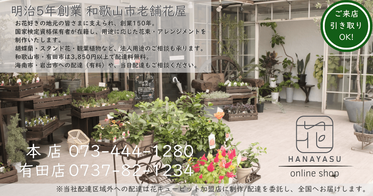 明治5年創業の老舗花屋 花安 | 和歌山市・有田市 胡蝶蘭・スタンド花 | 3,300円以上で配達無料 | 当日配達・ご来店引き取りOK | 電話: 073-444-1280