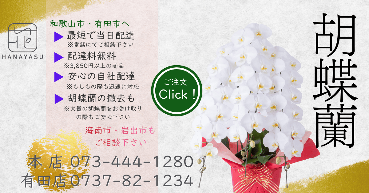 胡蝶蘭の最短当日配達 | 3,300円以上で配達料無料 | 自社配達で安心対応 | 電話でご相談: 073-444-1280 | ご注文click!